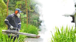 Best Pest Exclusion Services  in USA